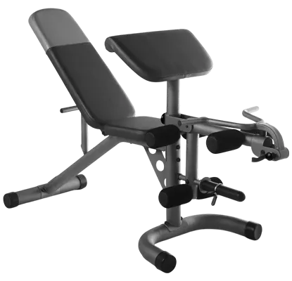 Explore honest feedback on Gold’s Gym XRS 20