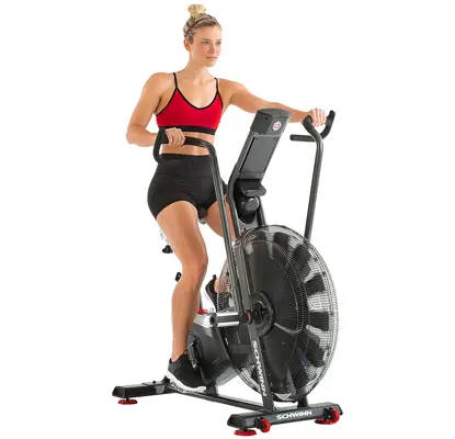 Schwinn Airdyne AD7